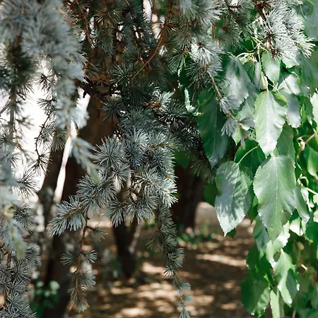 아파트 Budapest-zuglo